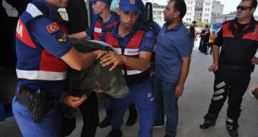 Xəstə qıza təcavüz edənlər hakim qarşısına çıxdı: