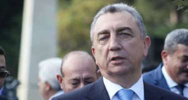 Eldar Əzizov ağacların 