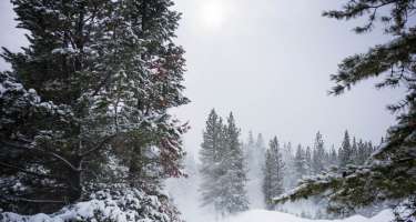 Azərbaycanda temperatur 5-8 dərəcə enəcək, qar yağacaq - 