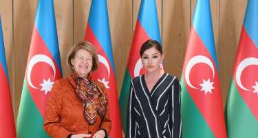 Mehriban Əliyeva Böyük Britaniya Baş Nazirinin ticarət elçisi ilə görüşüb