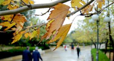 Sabahın hava proqnozu açıqlandı