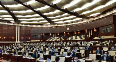 Parlament 22 dildə videomüraciət hazırladı - 