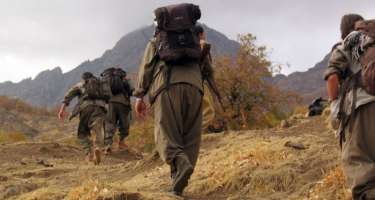 Qarabağda daha 12 PKK/YPG terrorçusu məhv edildi