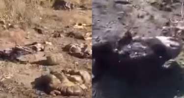 Kəlbəcərdə erməni vandallığı:
