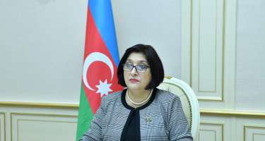 Milli Məclis pandemiyadan sonra onlayn iclaslardan imtina etməyəcək - 