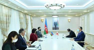 Sahibə Qafarova Gürcüstanın Azərbaycandakı səfiri ilə görüşüb