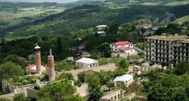 Şuşada "Qırmızı Kitab"a düşəcək bir neçə bitki növü var
