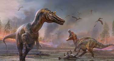 İngiltərədə iki dinozavr növü tapıldı