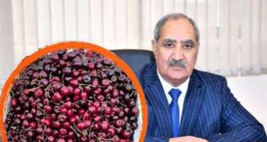 "Gilas 8-10 manatadır, belə şey olar?" - 