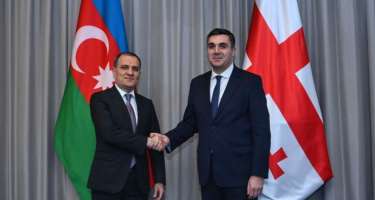 Gürcüstan XİN Azərbaycan səfirliyinə edilən hücumu pisləyib