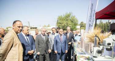 Cəlilabadda toxum sərgi-satış yarmarkası keçirilib - 
