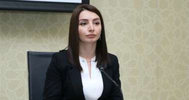 Leyla Abdullayeva Fransanın Azərbaycandakı yeni səfiri ilə görüşüb