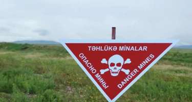 Azad edilmiş ərazilərdə daha 61 mina aşkarlandı