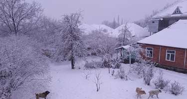 Bu rayona 19 sm qar yağdı