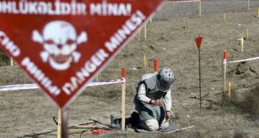 Ötən həftə 1225.1 hektar ərazi minalardan təmizlənib