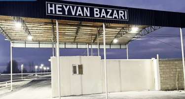 Bu rayonda heyvan satışı bazarının fəaliyyəti bərpa edildi