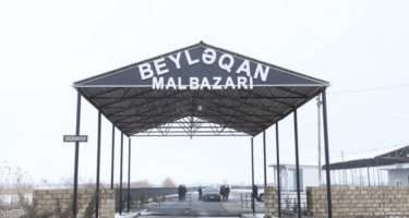 Bu heyvan bazarı açıldı