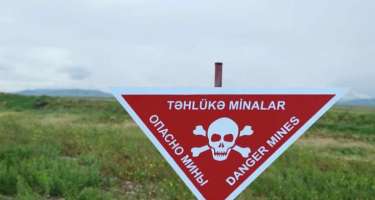Zərərsizləşdirililmiş minaların sayı açıqlandı
