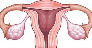 Endometrium və hamiləlik