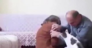 Arvadını "döyən" kişini pişik dayandırdı