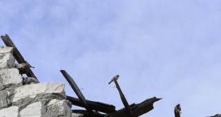 Ermənistan ordusu tərəfindən dağıdılan evlər yenidən tikilir -