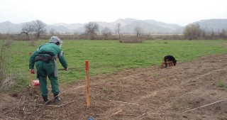 Cocuq Mərcanlıda 1700-dən çox qəlpə tapıldı