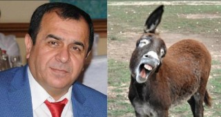 Azərbaycanlı aktyor yoxa çıxan eşşəkləri "tapdı"
