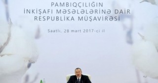 İlham Əliyev: "Məni maraqlandıran odur ki, pambıqçılıqda işləyən vətəndaş hər gün evinə pul aparsın"