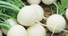 Ağ turpdan bolluca yeyin