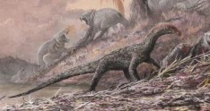 Yeni dinozavr növü aşkar olundu