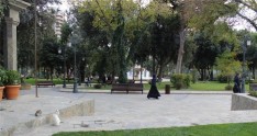 Parklar fərqli normalarla qurulacaq