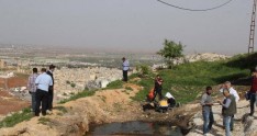 İt üstündə dava qanlı sonluqla nəticələndi