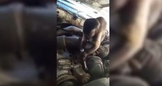 Meymun avtomobil ustasına çevrildi