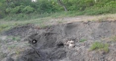 Xaçmazda kütləvi məzarlıq aşkarlandı