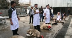 Halal ət kəsimi qaydaları
