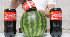 Qarpızın içinə "Kola" tökdülər, görün nə oldu 