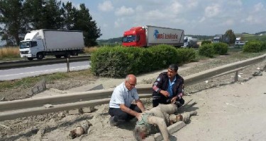Ayağı qopan sürücü küçənin ortasında qaldı