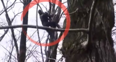 Məşhur telekanal lənkəranlı "Tarzan Babaxan"nı çəkdi
