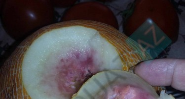 Bakıda yemişin içindən çıxan hər kəsi ŞOKA SALDI