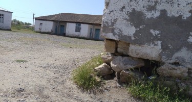Azərbaycanda bu məktəbdə ilanlar gəzir
