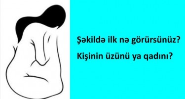 Beyninizin hansı hissəsi daha çox inkişaf edib?
