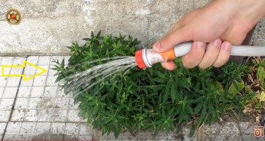 Plastik şüşələrlə bunları etmək mümkündür