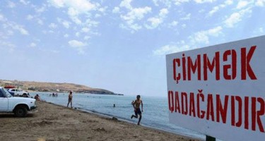 DİQQƏT: bu çimərliklərdə gürzələr var, getməyin