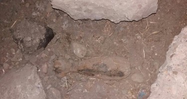 Həyətyanı sahədə minaatan mərmisi aşkarlandı