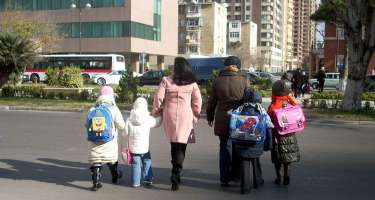 İlin əvvəlindən bu günə qədər 291 piyada vurulub