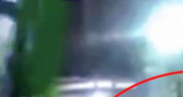 Şir balası qıza hücum etdi