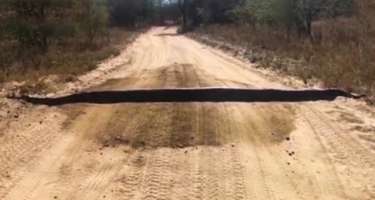 Sən demə, bu qaraltı nəhəng piton ilanı imiş