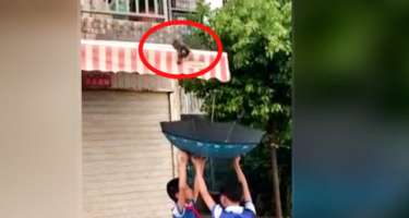Pişiyi bu üsulla xilas etdilər