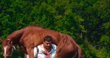 400 kiloqramlıq atı kürəyində gəzdirir