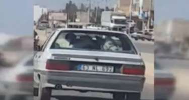 Avtomobildə inək görənlər...
